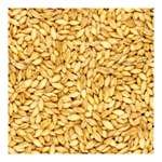 FARM 29- Fresh from Farmers Barley (1000 Gm) (TAOPL-1050)